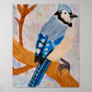 Search for bluejay art Wildlife