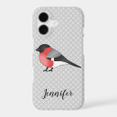 Search for common name Bird
