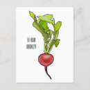 Search for radish postcards Salad