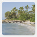 Search for dominican stickers Tropical