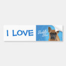 Search for siddhartha bumper stickers Buddha