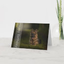 Search for german shepherd birthday cards Puppy