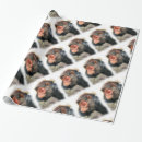 Search for monkeys wrapping paper Primate