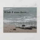 Search for here postcards Ocean