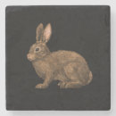 Search for hare barware Rabbit