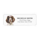Search for springer spaniel return address labels Puppy