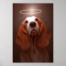 Search for basset hound posters Dogs