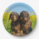 Search for dachshund plates Animal