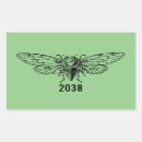 Search for cicada stickers Entomologist
