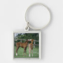 Search for thoroughbred horse key rings Fence