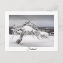 Search for winter trees postcards Finland