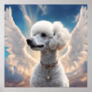 Search for standard poodle posters Pet