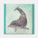 Search for dolphin magnets Ocean