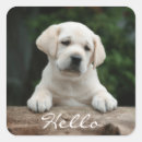 Search for hi hello stickers Retriever