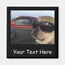 Search for dog car magnets Canine