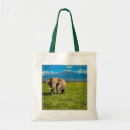 Search for conservation parks accessories African elephant