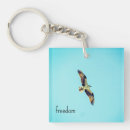Search for ospreys key rings Bird