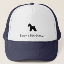 Search for little dog hats Animals