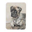 Search for brindle magnets English