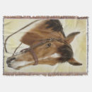 Search for donkey blankets Horse