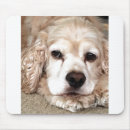 Search for cocker spaniel mouse mats Dog lover