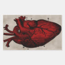 Search for vintage human anatomy stickers Heart