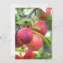 Search for ripe invitations Fruit