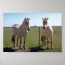Search for stallion art Gelding