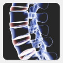 Search for body image stickers X ray image