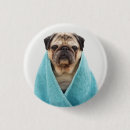 Search for dogs face badges Pug