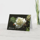 Search for rose bush invitations Flowers
