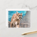 Search for cougar postcards Animal