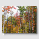 Search for orange photography weddings Autumn