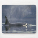 Search for orca mouse mats Wildlife