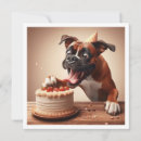 Search for boxer birthday invitations Funny