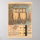 Search for fall moons posters For kids