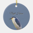 Search for night heron Birds