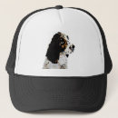 Search for springer spaniels hats Cute