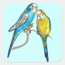 Search for budgerigar stickers Bird