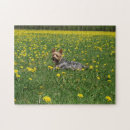 Search for yorkie puzzles Dog
