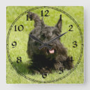 Search for scottie dog clocks Pets