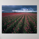 Search for glow in the dark posters Pink