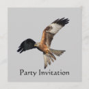 Search for bird pictures invitations Raptor