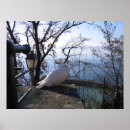 Search for white dove posters Nature