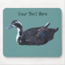 Search for fowl electronics Animal