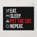 Search for cats sleeping postcards Pet
