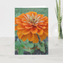 Search for marigold flower cards Thinking of you
