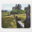 Search for tahoe mouse mats Nevada