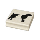 Search for boer goat Livestock