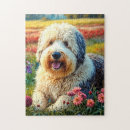 Search for sheepdogs puzzles Canine